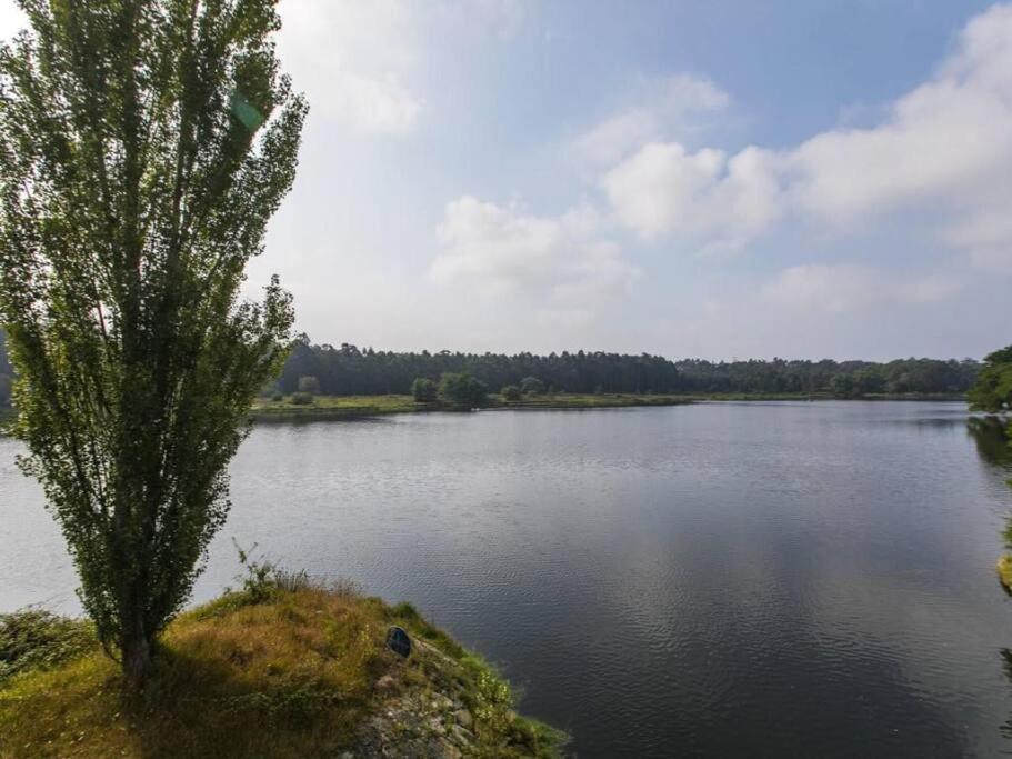 Quinta Da Barca House - Nada Melhor Que Juntar Luxo A Lazer Com Mar E Rio! 에스포센데 외부 사진